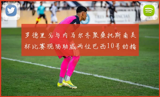 罗德里戈与内马尔齐聚桑托斯南美杯比赛现场助威两位巴西10号的精彩时刻